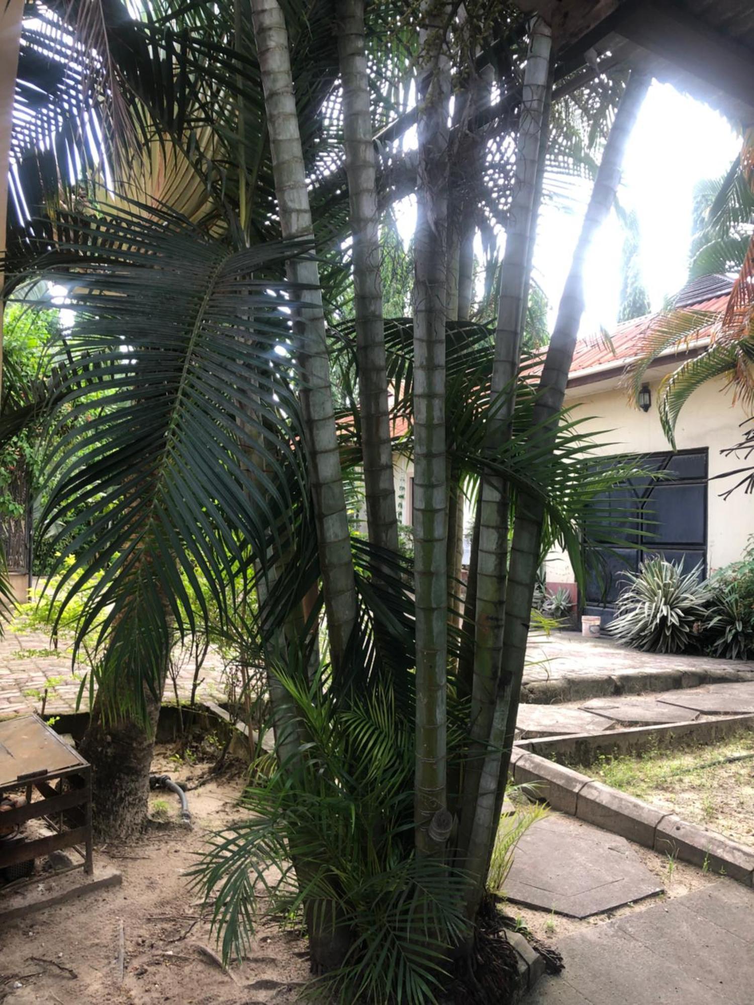 Tatys Homestay Dar-es-Salaam Eksteriør bilde